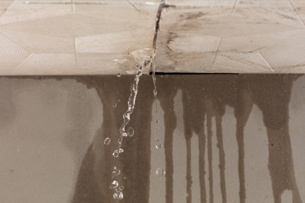 Professional Burst Pipe Cleanup technician working in Auburn, PA